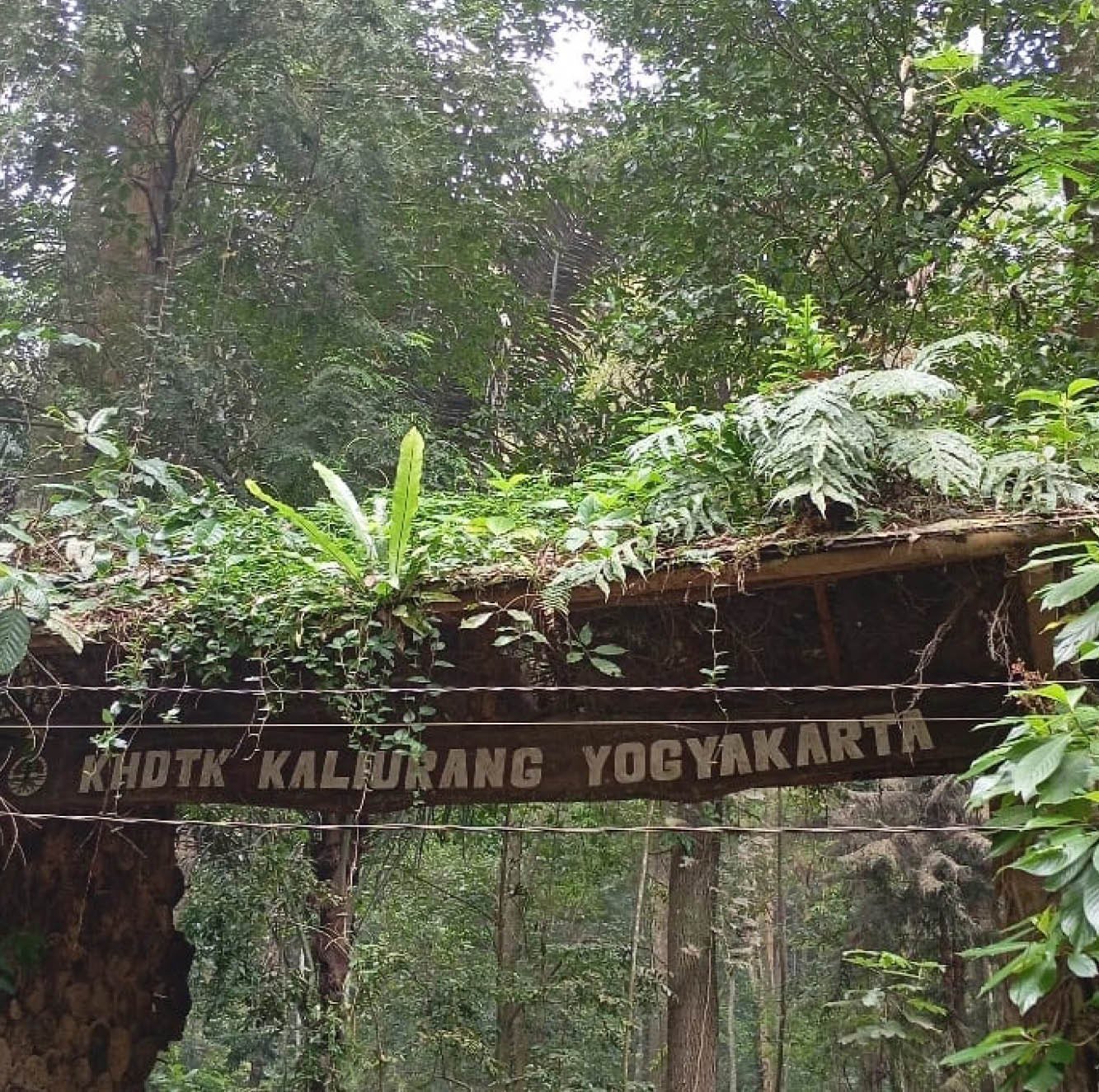 KHDTK Kaliurang